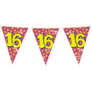 Vlaggenlijn 16 jaar