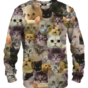 Catz sweater