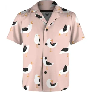 seagull boys shirt