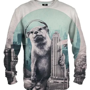 dj cotton sweater
